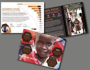 nonprofit annual report